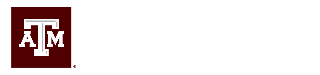 Texas A&M Semiconductor Institute