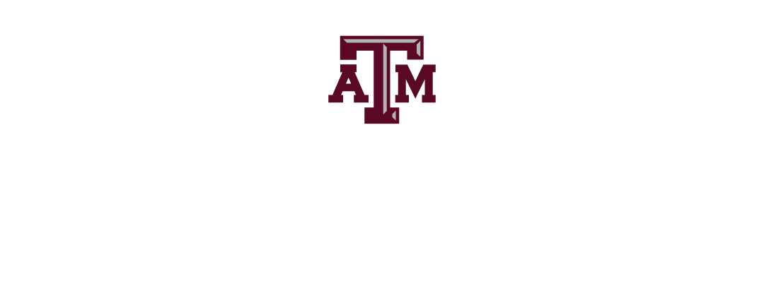 Texas A&M Semiconductor Institute